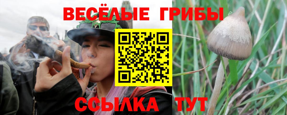 Белогорск  Галлюциногенные грибы мицелий  магазин продажи   Вход с VPN 