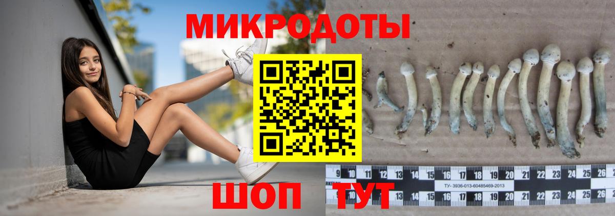 Псилоцибиновые грибы Psilocybine cubensis Белогорск